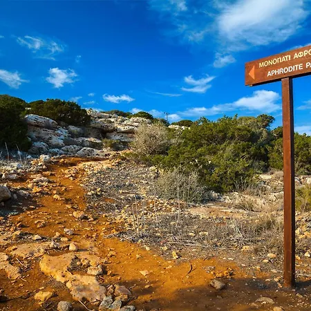 Marina Exclusive 아이아 나파