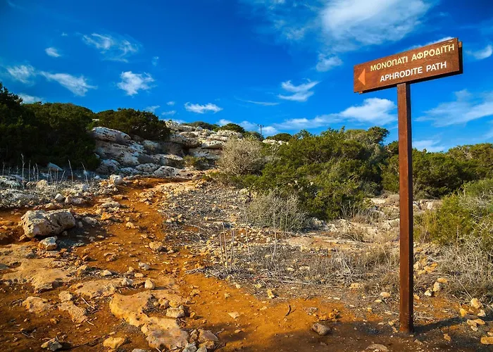 Marina Exclusive 圣纳帕